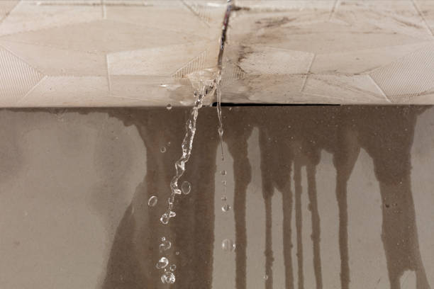 Professional Water Extraction technician working in Williamsburg, MO